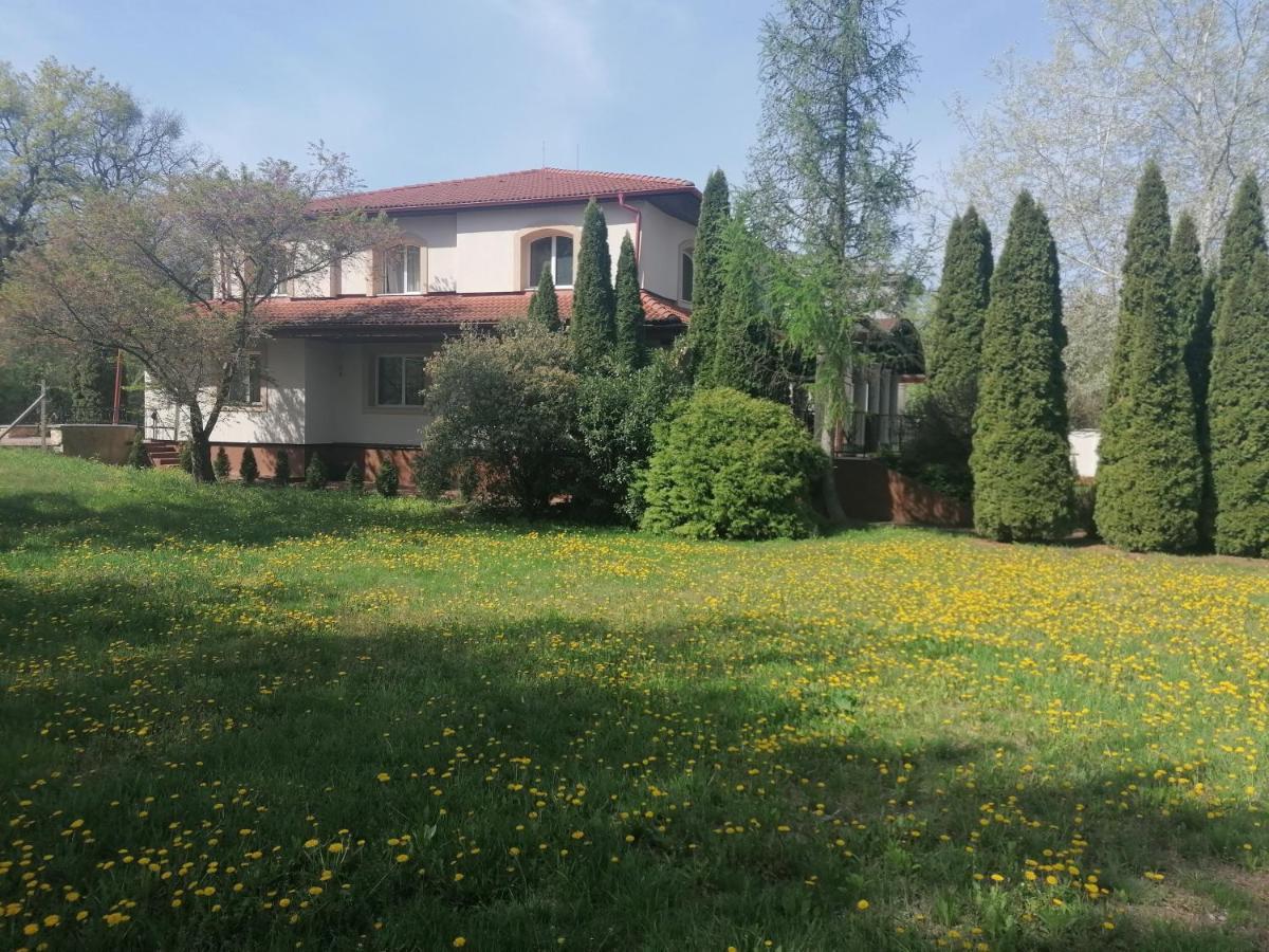 Staff Guest House Nyíregyháza Zewnętrze zdjęcie